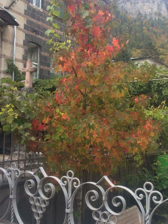 博尔若米 Old House Rustaveli酒店 外观 照片